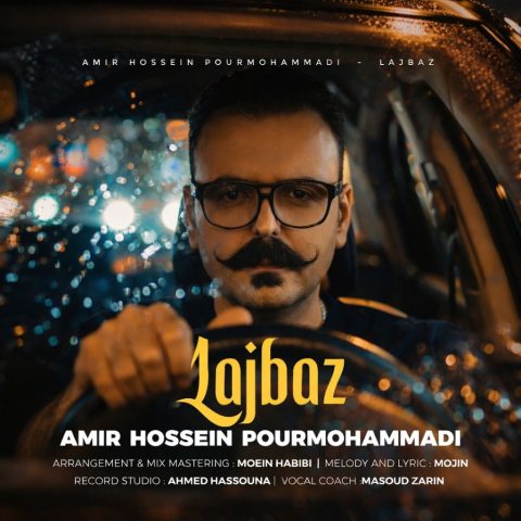 دانلود آهنگ امیرحسین پورمحمدی لجباز